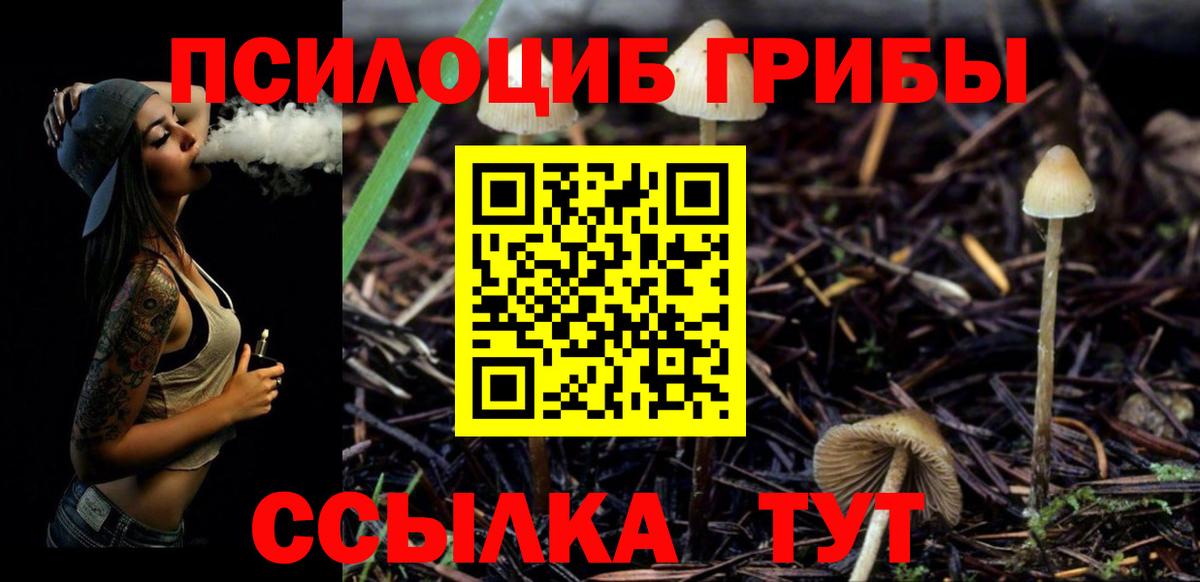 Псилоцибиновые грибы мухоморы  Вход с VPN  Вязники  Псилоцибиновые грибы Psilocybe 