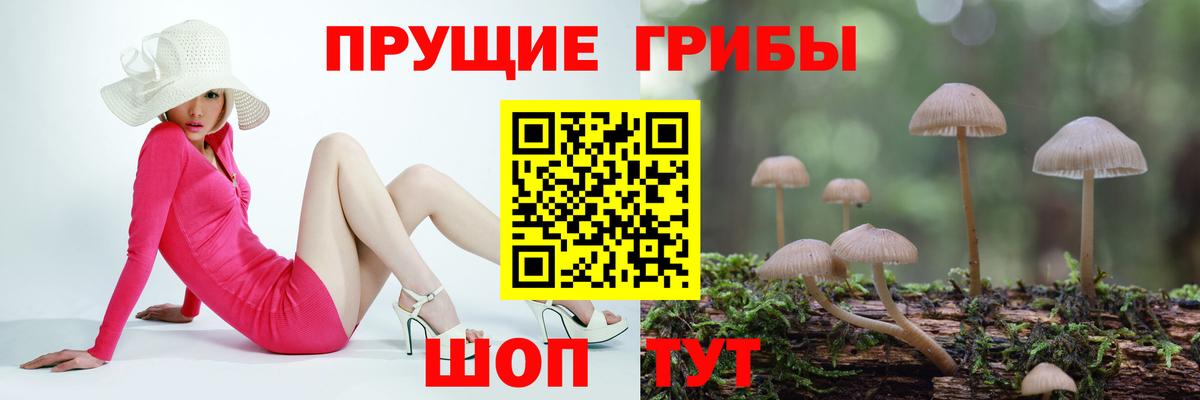Псилоцибиновые грибы мухоморы Вязники